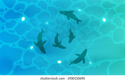 Fish in the water top view. Ocean, river or lake with clear blue water. Vector illustration.