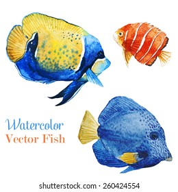 Fish, Watercolor, Ocean,