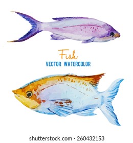 fish, watercolor, ocean,