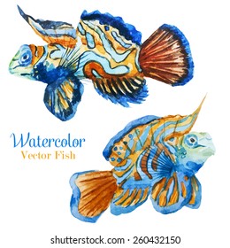 fish, watercolor, ocean,mandarin fish