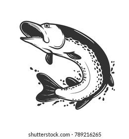 Fish white and black  isolated on the white background.Vector illustration.
