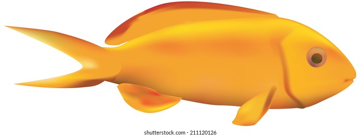 Fish in wire mesh vector