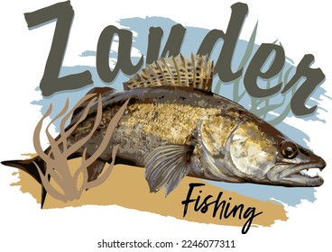 Fish Zander fishing vector image