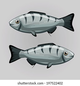 fish zodiac