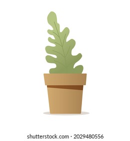 Fishbone Cactus Potted Plants Illustration