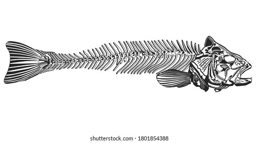 Fishbone drawing Black And White, - vector illustration