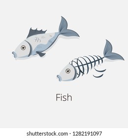 Fishbone and fish isolated illustration