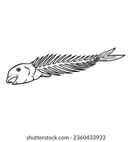 fishbone line vector illustration,isolated on white background,top view