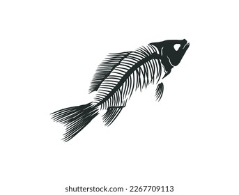 fishbone vector illustrations, fossil of the ancient fish