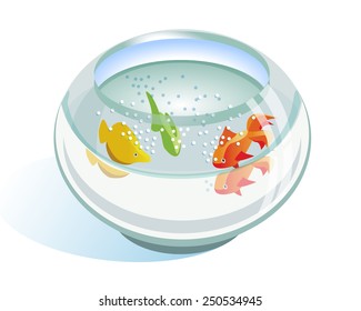 fishbowl full of water with a small colored fish