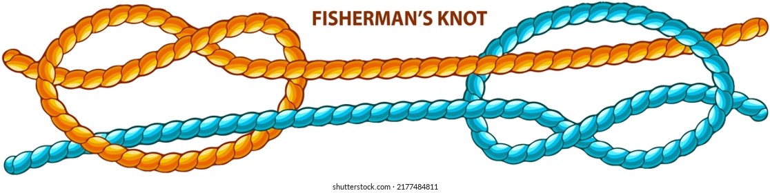 Fishermans knot isolated on white. Binding and fastening unit for permanent bracing. Modification of straight knot where first loop makes two turns. Node is tied under tension. Twisted brown tape