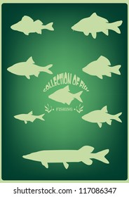 Fishes