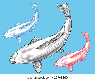 Fishes