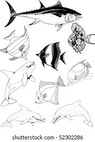 fishes