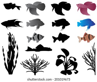 Fishes and algae for aquarium, silhouettes and color images