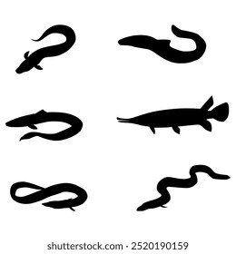 Fishes black Silhouettes white background