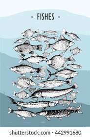 Fishes clip art