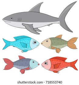 Fishes. Collection of colored fishes and shark. Vector illustration isolated on white background