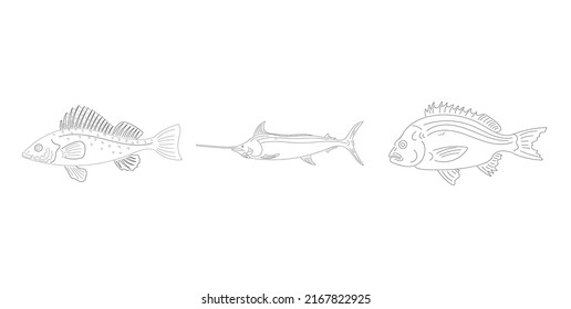 Fishes Coloring Set Isolated Vector Illustration  