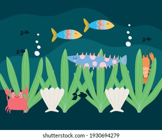 fishes lobster crab seaweed underwater