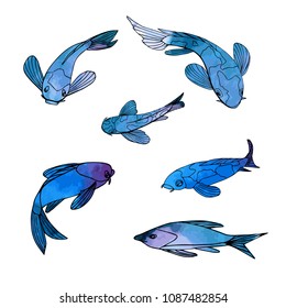 Fishes on white background. Hand drawn vector illustration with watercolor effect. 