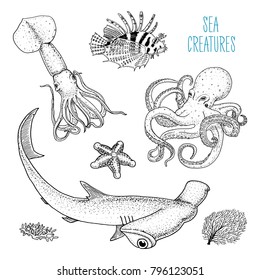 Fishes or sea creature octopus and squid, calamari. red lionfish and great hammerhead shark. engraved hand drawn in old sketch, vintage style. nautical or marine. animals in the ocean.