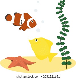 fishes sea star seaweed set underwater 