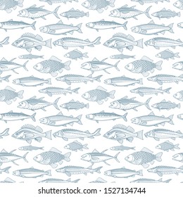 Fishes seamless pattern. Different fishes endless hand drawn texture. 