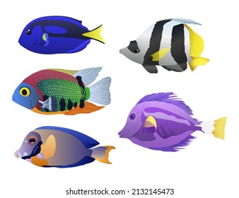 Fishes set, detailed vector illustration.