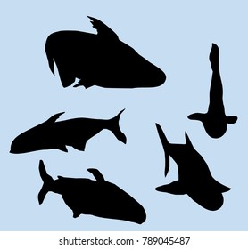 Fishes Set
Different fishes silhouette set is a vector illustration.