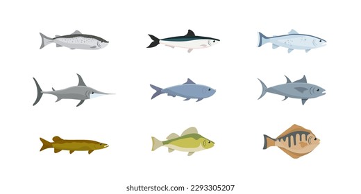 Fishes set vector illustration. Cartoon isolated sea and river fishes, freshwater and marine animals collection for restaurant menu with marlin herring tuna salmon anchovy trout perch pike flounder