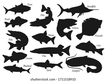 Fishes, silhouette vector icons, ocean, river or sea and lake fishing fish. Pike, tuna or crucian, swordfish and flounder, carp, sheatfish and bream, perch and pike