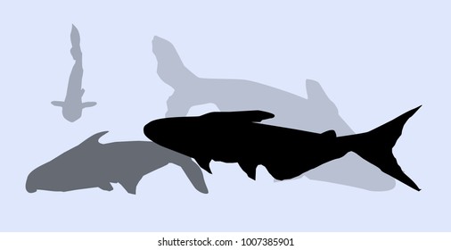 Fishes silhouette 
Fishes silhouette  is a vector illustration.