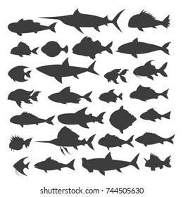 Fishes silhouettes. Fish of different shapes isolated on white background, vector illustration