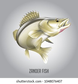 Fishes Vector Illustration