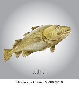 Fishes Vector Illustration