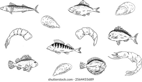 fishes vector set. Pike perch, ruff fish, mackerel, pagers major, roach, crucian carp fish, shrimp, mussels. Multicolored clipart sea food, healthy meal, mediterranean, sea food, restaurant menu