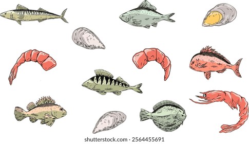 fishes vector set. Pike perch, ruff fish, mackerel, pagers major, roach, crucian carp fish, shrimp, mussels. Multicolored clipart sea food, healthy meal, mediterranean, sea food, restaurant menu