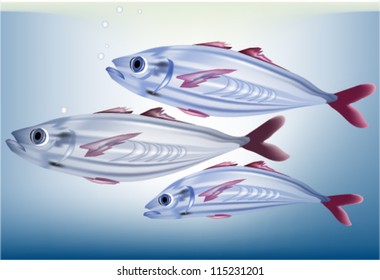 Fishes in the water