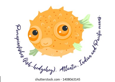 Fish-hedgehog. Card with explanation. Dangerous fish of seas and oceans. Vector