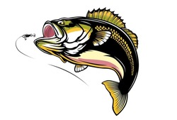 Bass Fish Logo. Perch Vector & Photo (Free Trial)