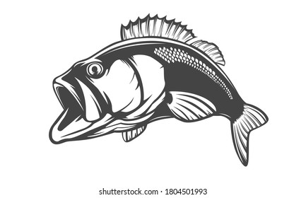 Fishing bass logo. Bass fish with rod club emblem. Fishing theme illustration. Fish Isolated on white.