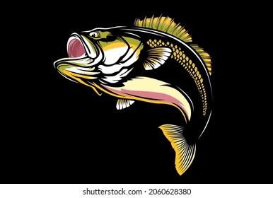 Fishing bass logo. Bass fish with rod club emblem. Fishing theme illustration. Fish Isolated on white.