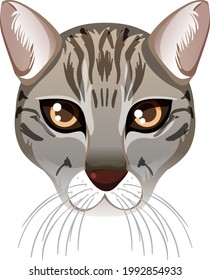 Fishing cat face in cartoon style on white background illustration