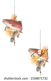 fishing fish freshwater salmon trout