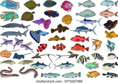 8,169 Flying fish Stock Vectors, Images & Vector Art | Shutterstock