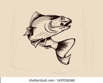 Fishing. Hand drawn vector fish. Sketch fish.