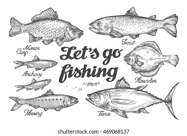 Fishing  Hand drawn vector fish  Sketch trout  carp  tuna  herring  flounder  anchovy
