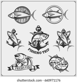 Fishing labels, badges, emblems and design elements. Illustrations of Tuna.