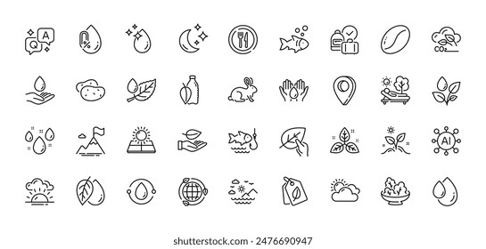 Fishing, Leaf and Rainy weather line icons pack. AI, Question and Answer, Map pin icons. Coffee beans, Oil drop, Mineral oil web icon. Salad, Eco energy, Fish pictogram. Vector